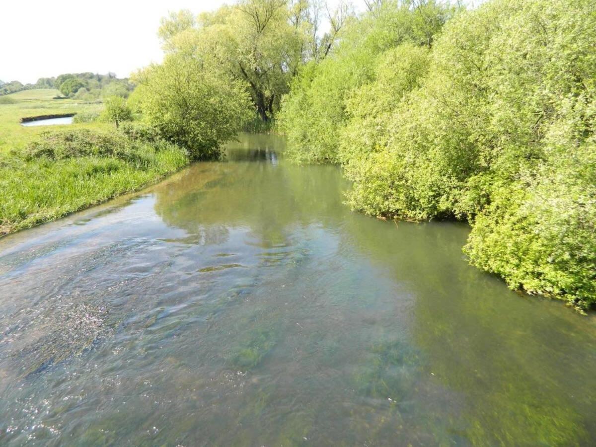 River Cottage A Country Retreat In Wooded Gardens East Stoke  エクステリア 写真