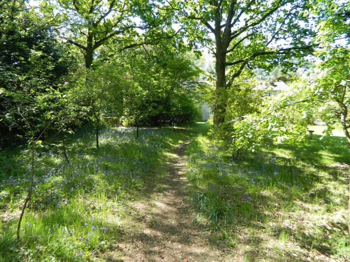 River Cottage A Country Retreat In Wooded Gardens East Stoke  エクステリア 写真