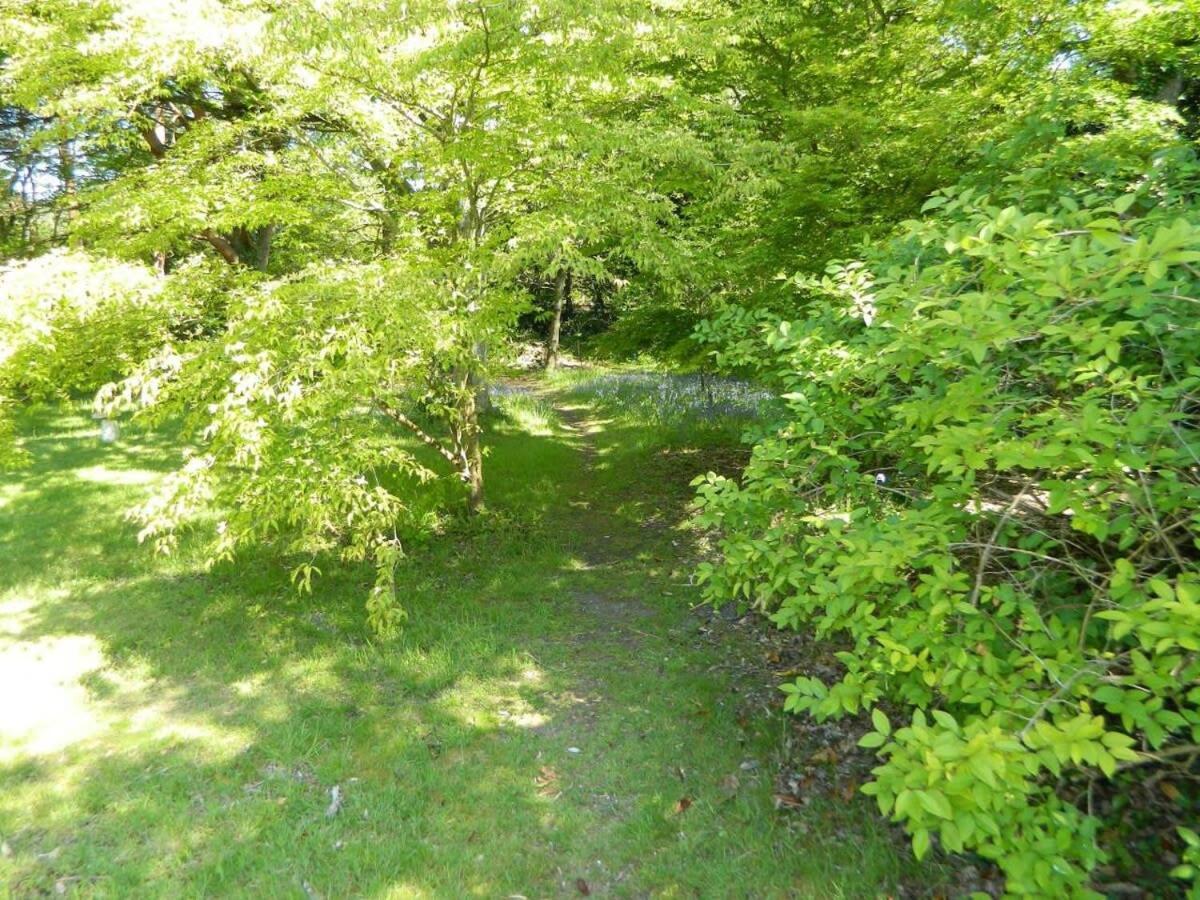 River Cottage A Country Retreat In Wooded Gardens East Stoke  エクステリア 写真