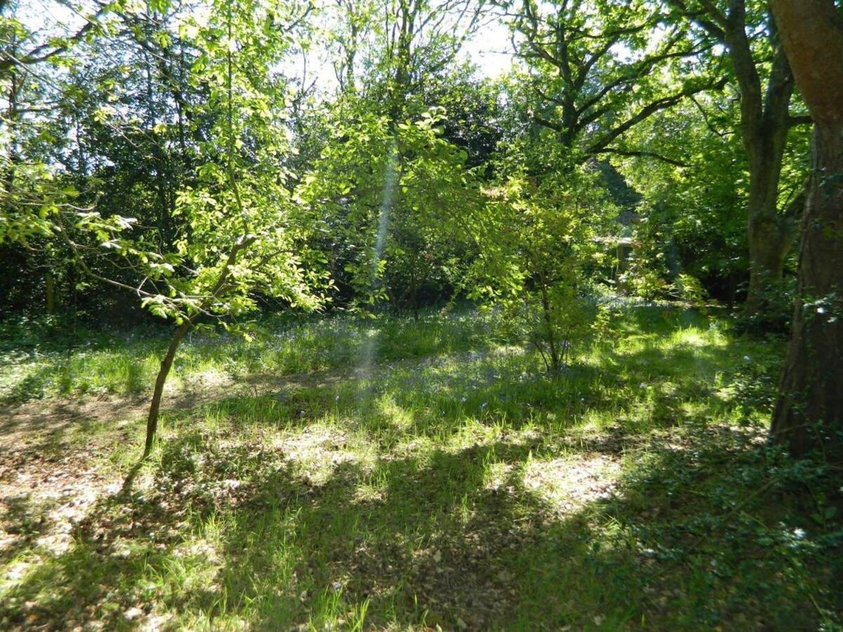 River Cottage A Country Retreat In Wooded Gardens East Stoke  エクステリア 写真